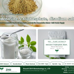 Adenosine 5-triphosphate, disodium salt natural Fermentation Product extract powder - ZHII ShaanXi ZhiYi Biotechnology supplier