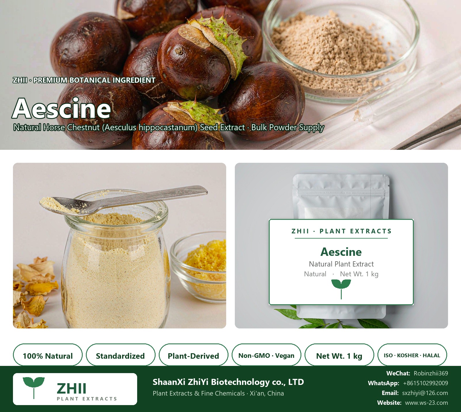 Aescine natural Horse Chestnut extract powder - ZHII ShaanXi ZhiYi Biotechnology supplier
