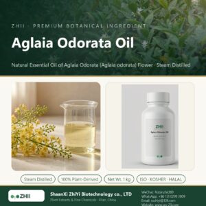 Aglaia Odorata Oil liquid extract in laboratory beaker - ZHII Plant Extracts by ShaanXi ZhiYi Biotechnology