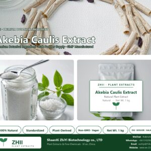 Akebia Caulis Extract/Akebia Caulis Extract powder/akebia natural botanical extract powder - ZHII ShaanXi ZhiYi Biotechnology supplier