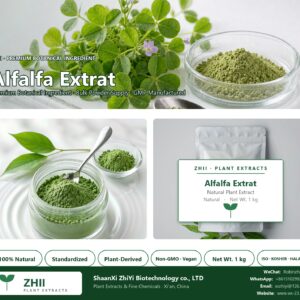 Alfalfa Extrat natural botanical extract powder - ZHII ShaanXi ZhiYi Biotechnology supplier