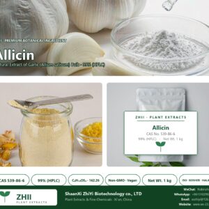 Allicin CAS 539-86-6 natural plant extract from Garlic - ZHII ShaanXi ZhiYi Biotechnology supplier