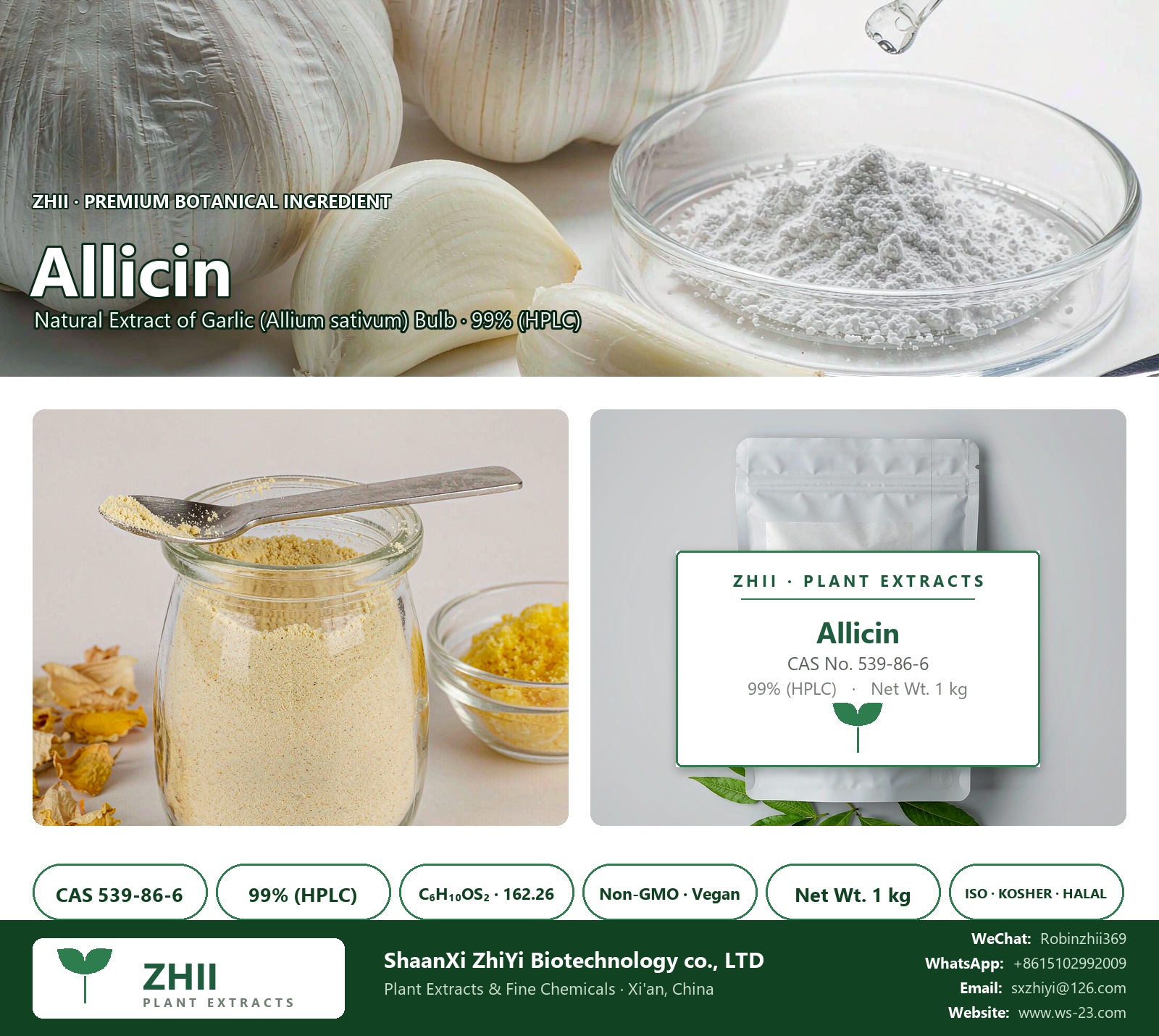 Allicin CAS 539-86-6 natural plant extract from Garlic - ZHII ShaanXi ZhiYi Biotechnology supplier