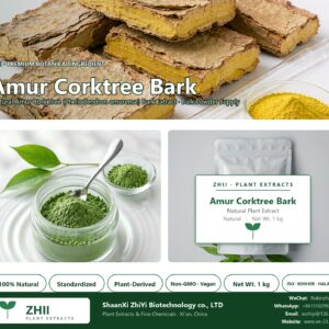 Amur Corktree Bark/cortex phellodendri natural Amur Cork Tree extract powder - ZHII ShaanXi ZhiYi Biotechnology supplier