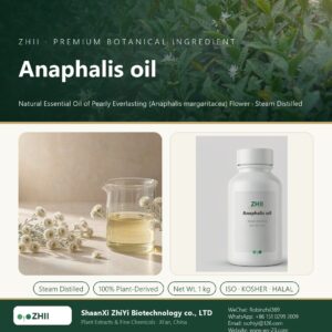 Anaphalis oil liquid extract in laboratory beaker - ZHII Plant Extracts by ShaanXi ZhiYi Biotechnology