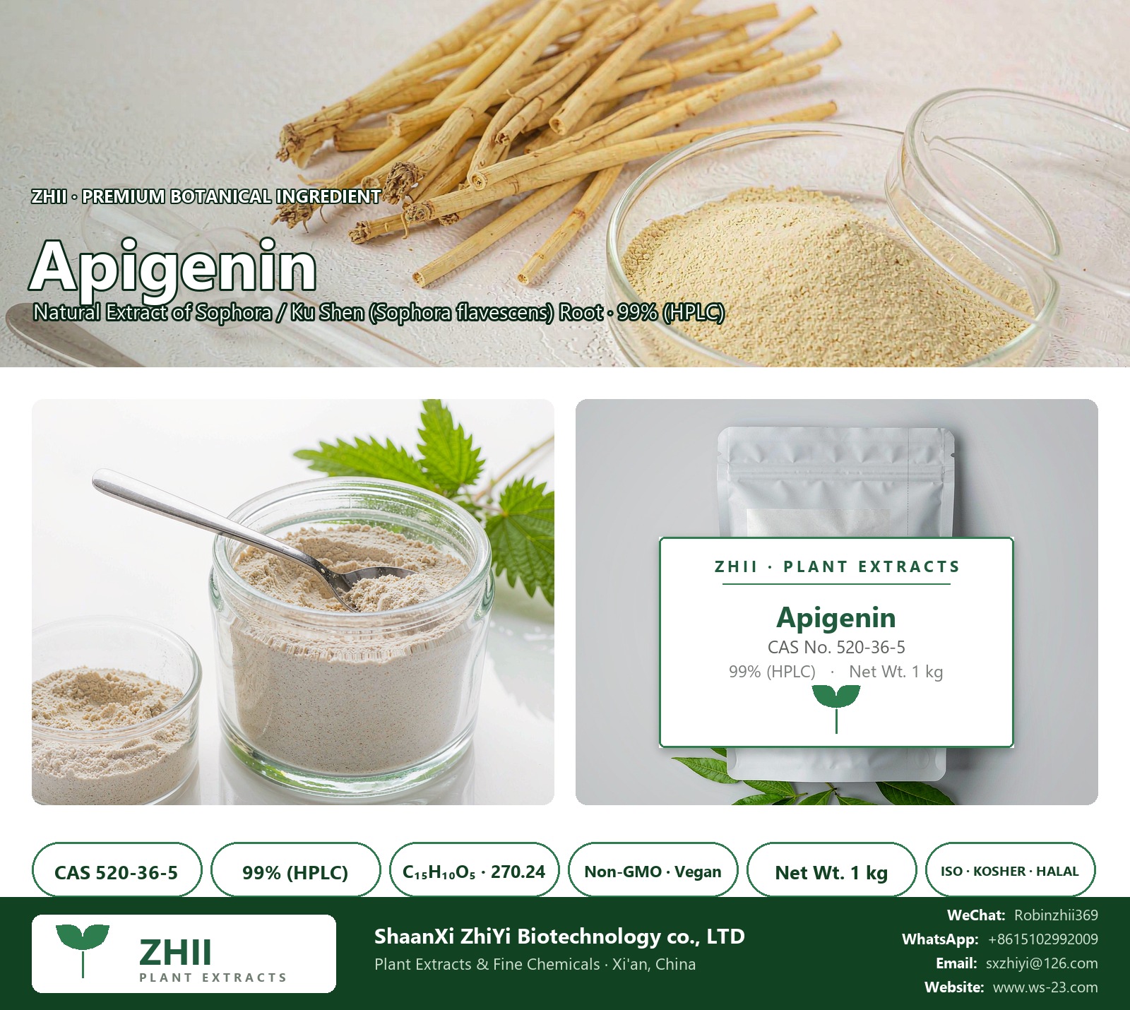 Apigenin CAS 520-36-5 natural plant extract from Sophora / Ku Shen - ZHII ShaanXi ZhiYi Biotechnology supplier