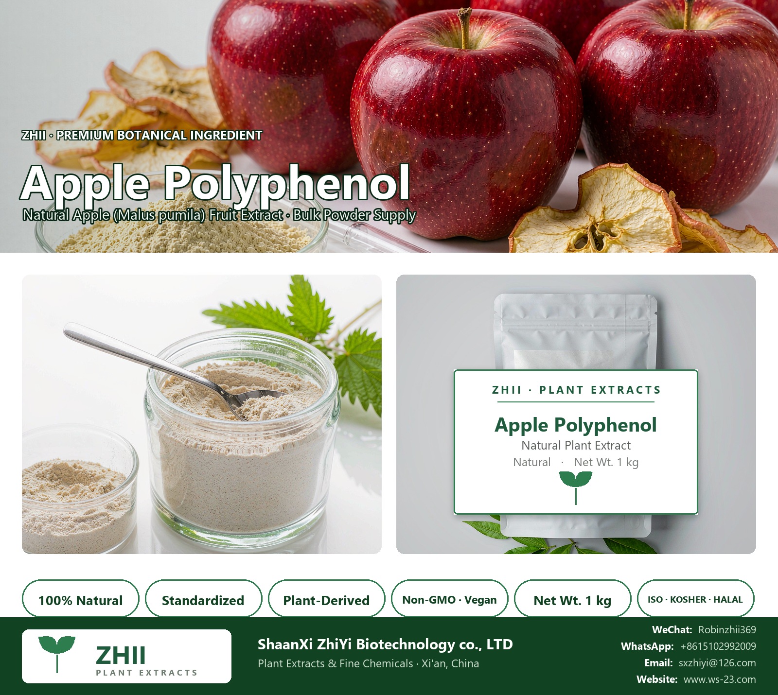 Apple Polyphenol natural Apple extract powder - ZHII ShaanXi ZhiYi Biotechnology supplier