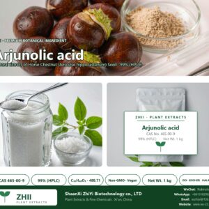 Arjunolic acid CAS 465-00-9 natural plant extract from Horse Chestnut - ZHII ShaanXi ZhiYi Biotechnology supplier