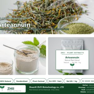Arteannuin natural Sweet Wormwood extract powder - ZHII ShaanXi ZhiYi Biotechnology supplier
