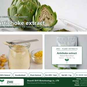 Artichoke extract natural botanical extract powder - ZHII ShaanXi ZhiYi Biotechnology supplier