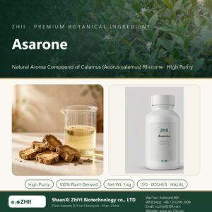 Asarone liquid extract in laboratory beaker - ZHII Plant Extracts by ShaanXi ZhiYi Biotechnology