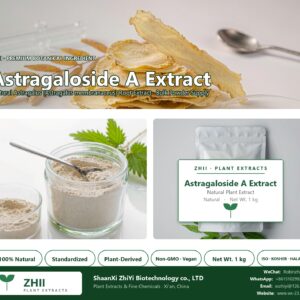 Astragaloside A Extract Powder natural Astragalus extract powder - ZHII ShaanXi ZhiYi Biotechnology supplier