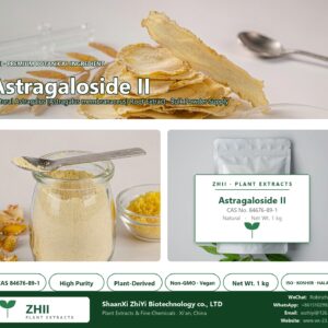 Astragaloside II CAS 84676-89-1 natural plant extract from Astragalus - ZHII ShaanXi ZhiYi Biotechnology supplier