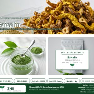 Baicalin CAS 21967-41-9 natural plant extract from Chinese Skullcap - ZHII ShaanXi ZhiYi Biotechnology supplier