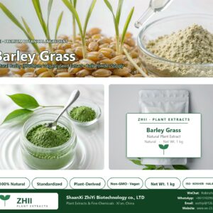 Barley Grass Powder natural Barley extract powder - ZHII ShaanXi ZhiYi Biotechnology supplier