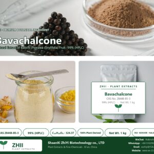 Bavachalcone CAS 28448-85-3 natural plant extract from botanical source - ZHII ShaanXi ZhiYi Biotechnology supplier