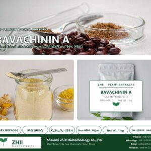 BAVACHININ A CAS 19879-30-2 natural plant extract from Babchi - ZHII ShaanXi ZhiYi Biotechnology supplier