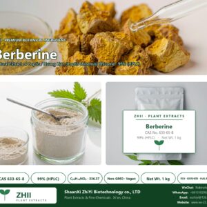 Berberine CAS 633-65-8 natural plant extract from Coptis / Huang Lian - ZHII ShaanXi ZhiYi Biotechnology supplier