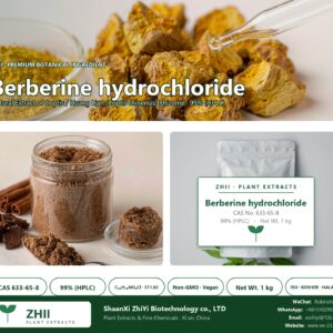 Berberine hydrochloride CAS 633-65-8 natural plant extract from Coptis / Huang Lian - ZHII ShaanXi ZhiYi Biotechnology supplier