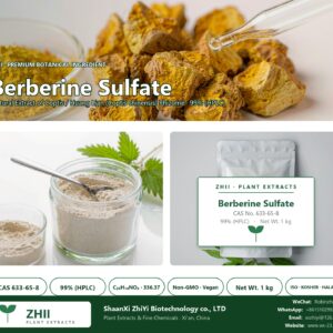 Berberine Sulfate CAS 633-65-8 natural plant extract from Coptis / Huang Lian - ZHII ShaanXi ZhiYi Biotechnology supplier