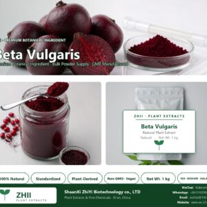 Beta Vulgaris Powder natural botanical extract powder - ZHII ShaanXi ZhiYi Biotechnology supplier