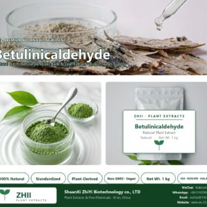 Betulinicaldehyde natural Birch extract powder - ZHII ShaanXi ZhiYi Biotechnology supplier