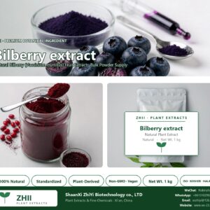 Bilberry extract natural Bilberry extract powder - ZHII ShaanXi ZhiYi Biotechnology supplier