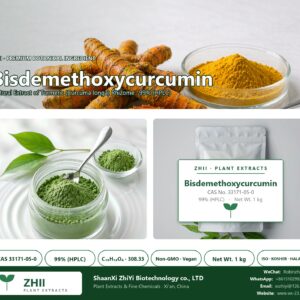 Bisdemethoxycurcumin CAS 33171-05-0 natural plant extract from Turmeric - ZHII ShaanXi ZhiYi Biotechnology supplier