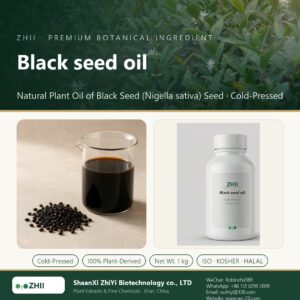 Black seed oil liquid extract in laboratory beaker - ZHII Plant Extracts by ShaanXi ZhiYi Biotechnology