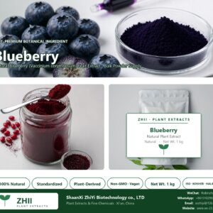 Blueberry Powder natural Blueberry extract powder - ZHII ShaanXi ZhiYi Biotechnology supplier