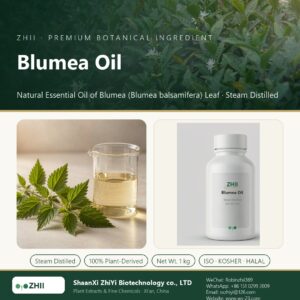 Blumea Oil liquid extract in laboratory beaker - ZHII Plant Extracts by ShaanXi ZhiYi Biotechnology