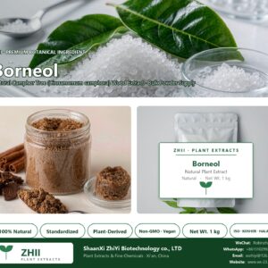 Borneol natural Camphor Tree extract powder - ZHII ShaanXi ZhiYi Biotechnology supplier