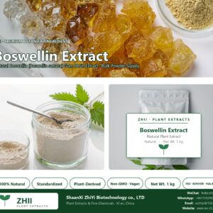 Boswellin Extract natural Boswellia extract powder - ZHII ShaanXi ZhiYi Biotechnology supplier