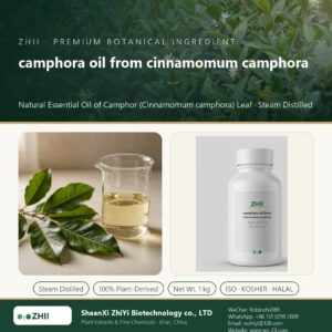 camphora oil from cinnamomum camphora liquid extract in laboratory beaker - ZHII Plant Extracts by ShaanXi ZhiYi Biotechnology