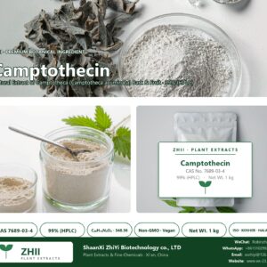 Camptothecin CAS 7689-03-4 natural plant extract from Camptotheca - ZHII ShaanXi ZhiYi Biotechnology supplier