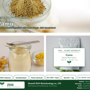 Camu powder natural botanical extract powder - ZHII ShaanXi ZhiYi Biotechnology supplier