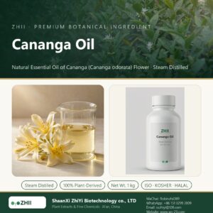 Cananga Oil liquid extract in laboratory beaker - ZHII Plant Extracts by ShaanXi ZhiYi Biotechnology