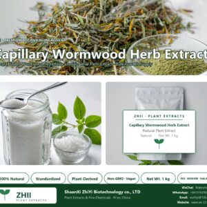 Capillary Wormwood Herb Extract natural Sweet Wormwood extract powder - ZHII ShaanXi ZhiYi Biotechnology supplier