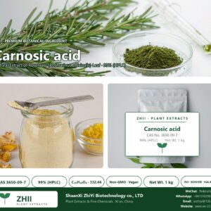 Carnosic acid CAS 3650-09-7 natural plant extract from Rosemary - ZHII ShaanXi ZhiYi Biotechnology supplier