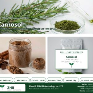 Carnosol CAS 5957-80-2 natural plant extract from Rosemary - ZHII ShaanXi ZhiYi Biotechnology supplier