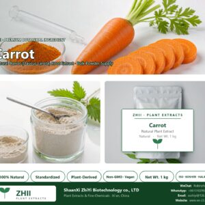 Carrot powder natural Carrot extract powder - ZHII ShaanXi ZhiYi Biotechnology supplier