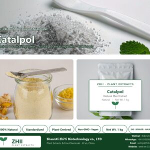 Catalpol natural botanical extract powder - ZHII ShaanXi ZhiYi Biotechnology supplier