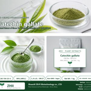 Catechin gallate CAS 154-23-4 natural plant extract from Green Tea - ZHII ShaanXi ZhiYi Biotechnology supplier