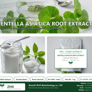 CENTELLA ASIATICA ROOT EXTRACT natural Gotu Kola extract powder - ZHII ShaanXi ZhiYi Biotechnology supplier