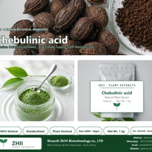 Chebulinic acid natural botanical extract powder - ZHII ShaanXi ZhiYi Biotechnology supplier