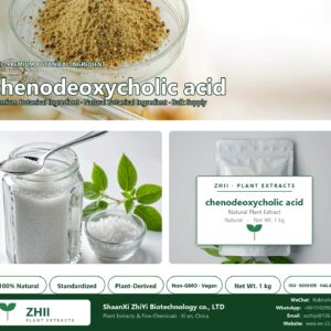 chenodeoxycholic acid natural botanical extract powder - ZHII ShaanXi ZhiYi Biotechnology supplier