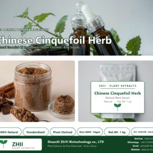 Chinese Cinquefoil Herb. natural botanical extract powder - ZHII ShaanXi ZhiYi Biotechnology supplier
