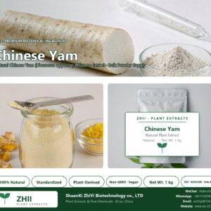 Chinese Yam Powder/yamogenin natural Chinese Yam extract powder - ZHII ShaanXi ZhiYi Biotechnology supplier