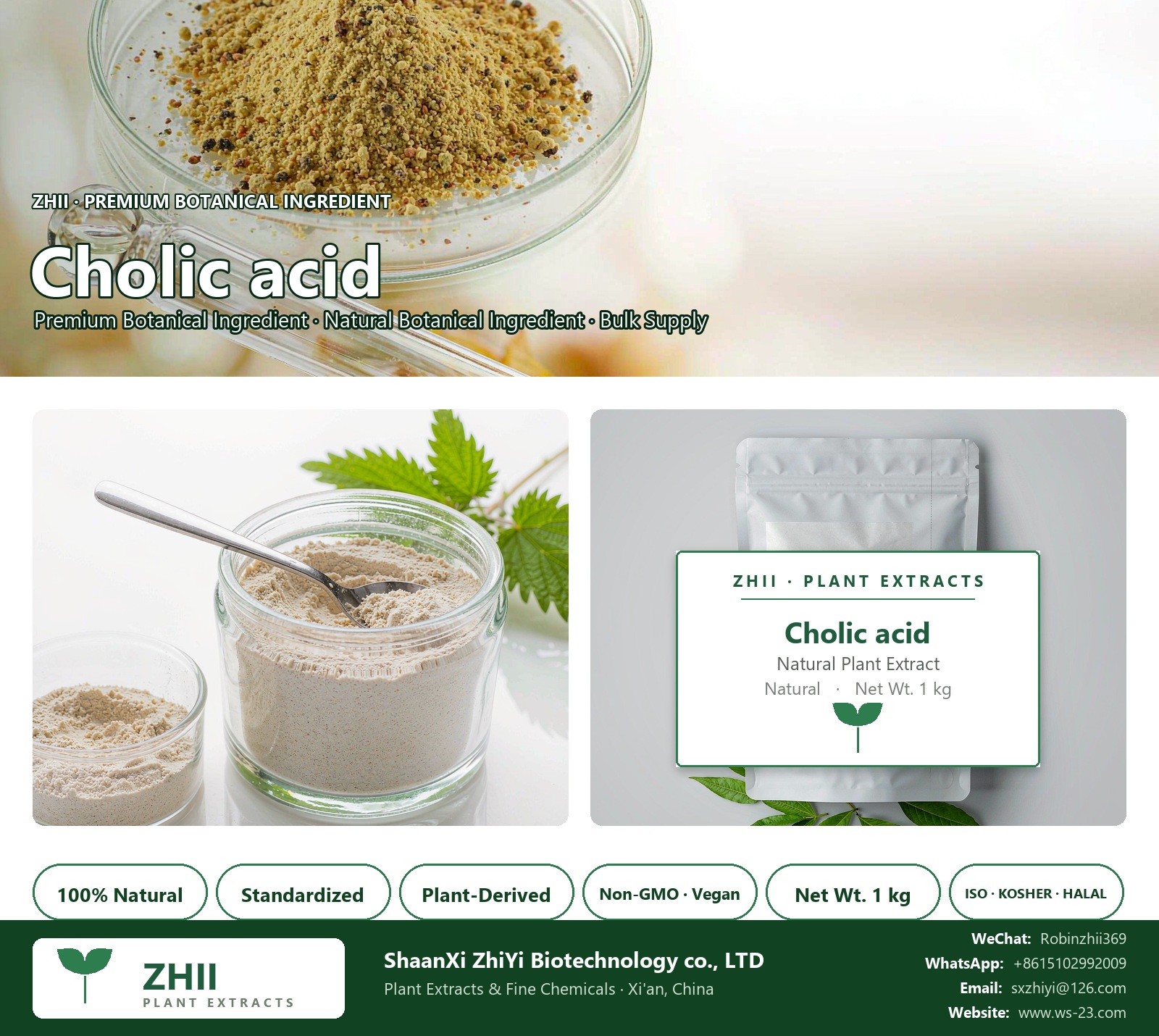 Cholic acid natural botanical extract powder - ZHII ShaanXi ZhiYi Biotechnology supplier