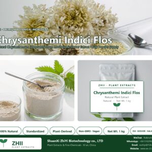 Chrysanthemi Indici Flos natural Chrysanthemum extract powder - ZHII ShaanXi ZhiYi Biotechnology supplier